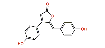 Rubrolide E